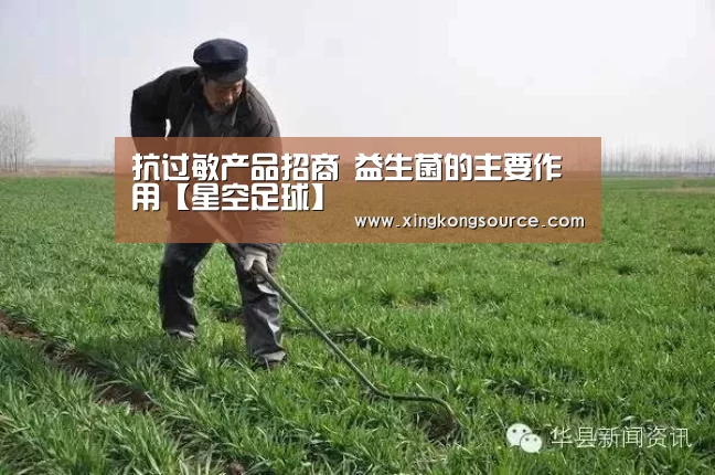 抗过敏产品招商 益生菌的主要作用【星空足球】(图3) 星空体育