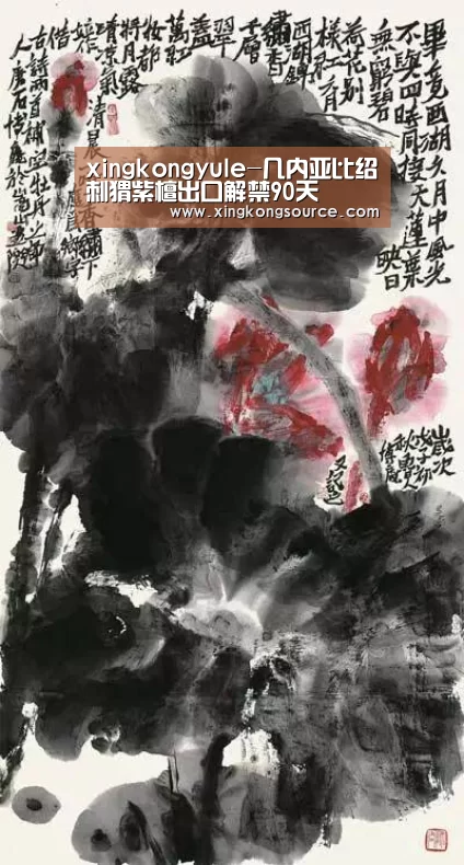 星空娱乐
