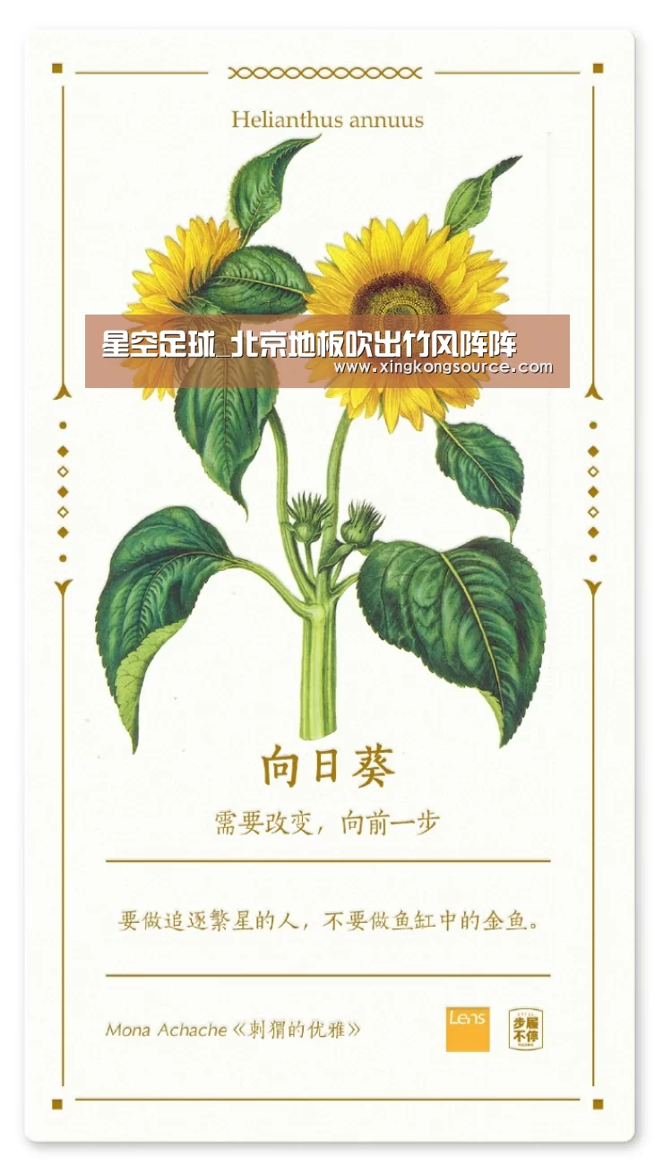 星空足球_北京地板吹出竹风阵阵(图2) 星空娱乐