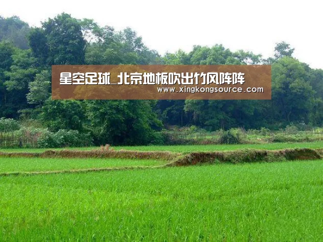 星空足球_北京地板吹出竹风阵阵(图3) 星空娱乐