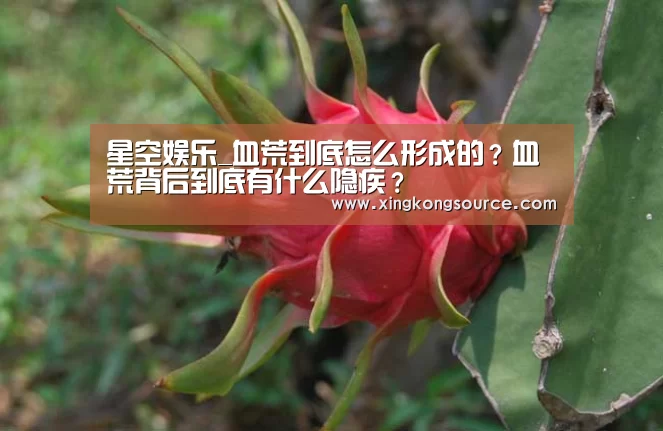 星空娱乐_血荒到底怎么形成的?血荒背后到底有什么隐疾?(图1) 星空体育