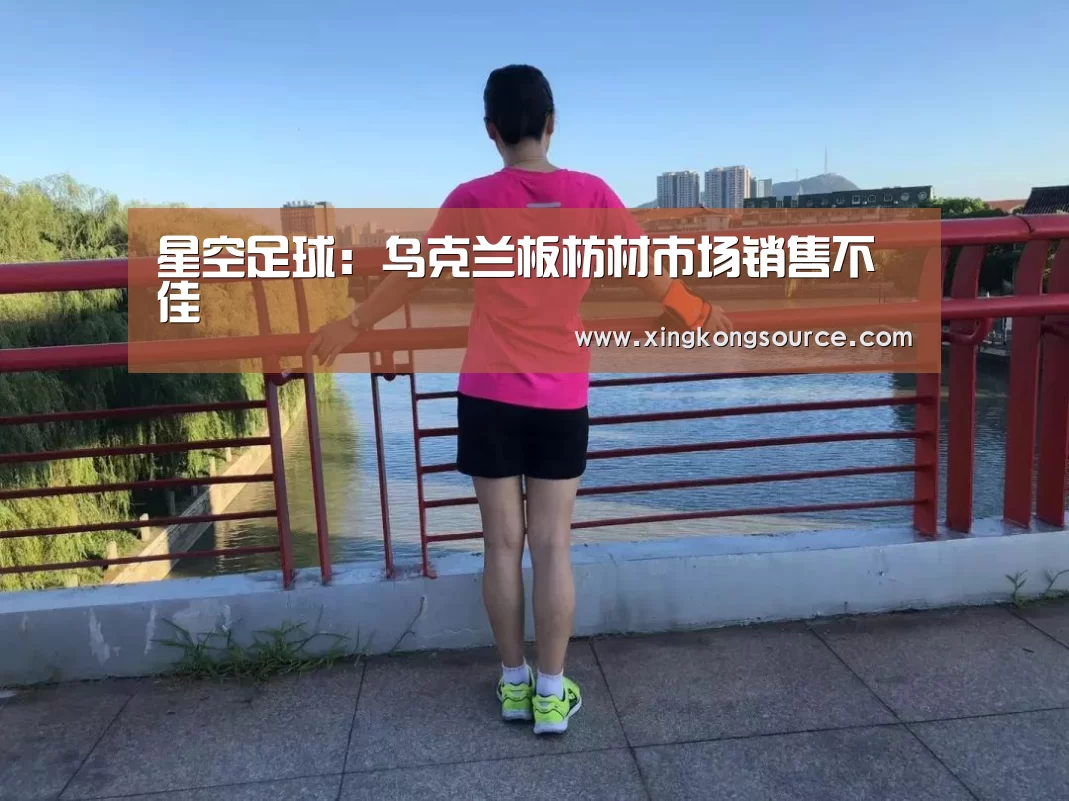 星空体育