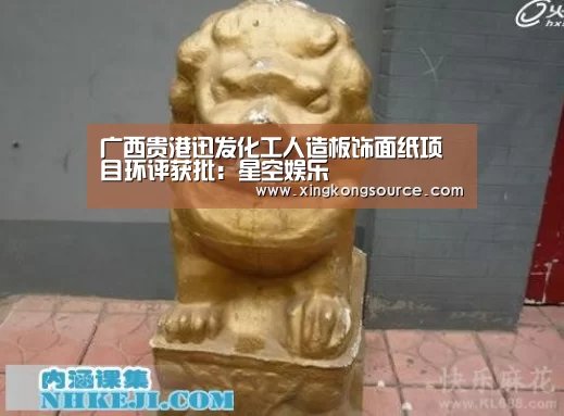 广西贵港迅发化工人造板饰面纸项目环评获批:星空娱乐(图3) 广西贵港迅发化工人造板饰面纸项目环评获批:星空娱乐(图3)