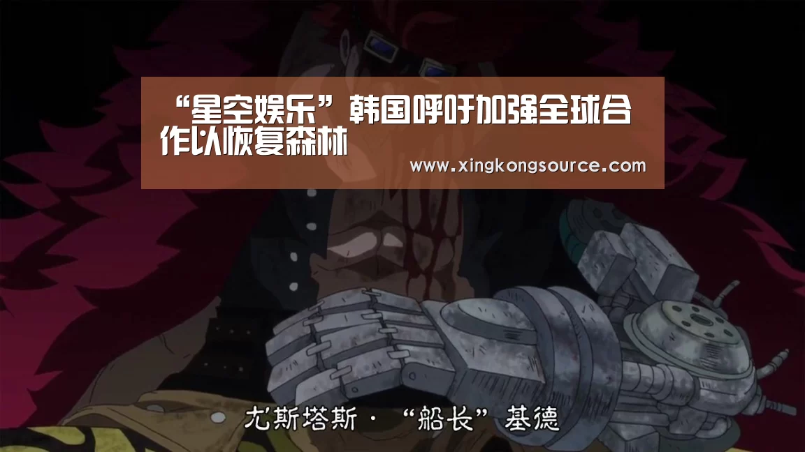 星空娱乐