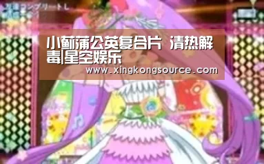 小蓟蒲公英复合片 清热解毒|星空娱乐(图2) 星空娱乐