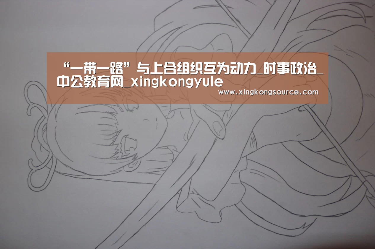 “一带一路”与上合组织互为动力_时事政治_中公教育网_xingkongyule(图2) 星空足球