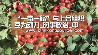 “一带一路”与上合组织互为动力_时事政治_中公教育网_xingkongyule(图1) 星空体育